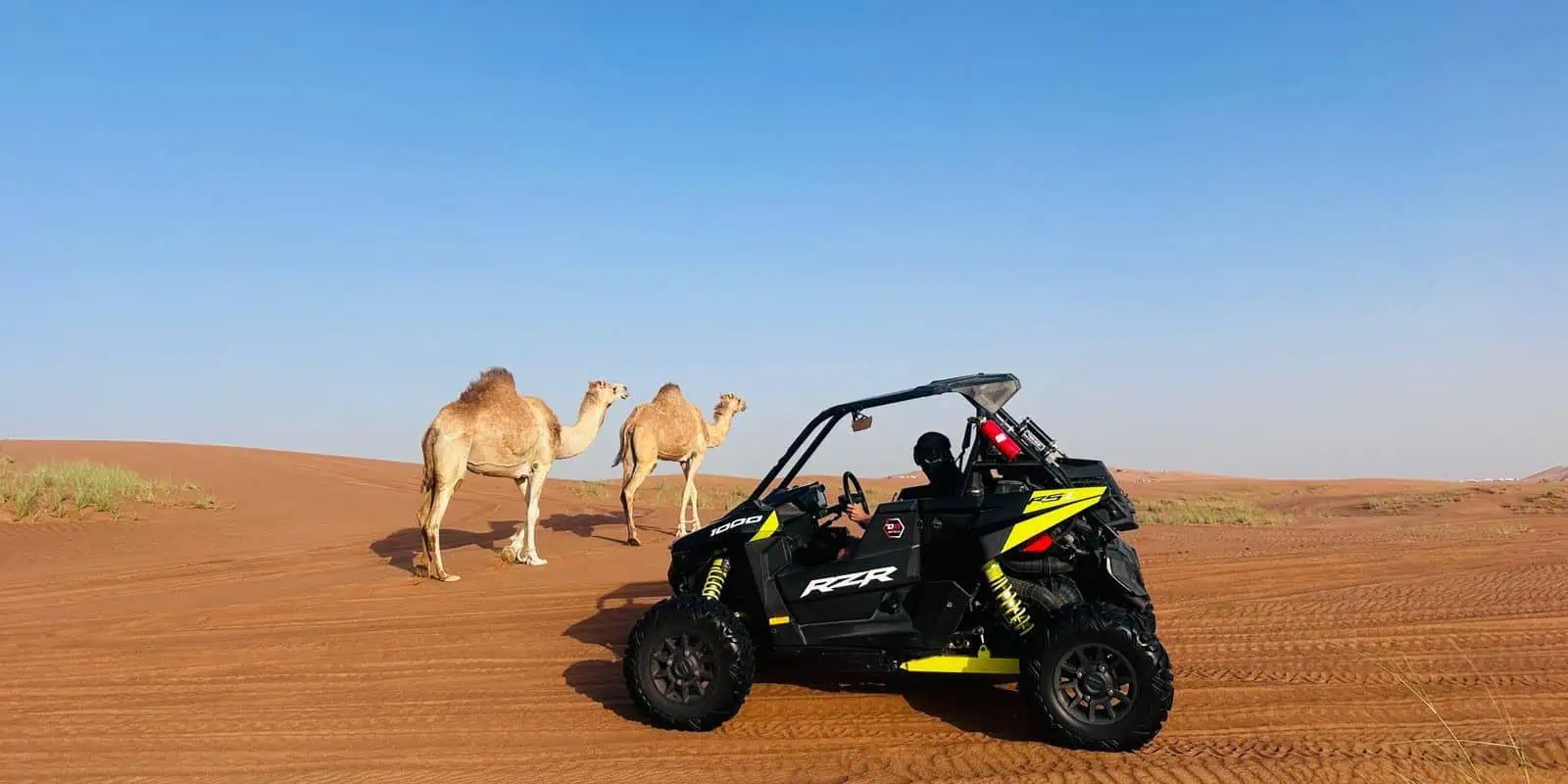 You are currently viewing Combine Dune Buggy Ride and Desert Safari Dubai